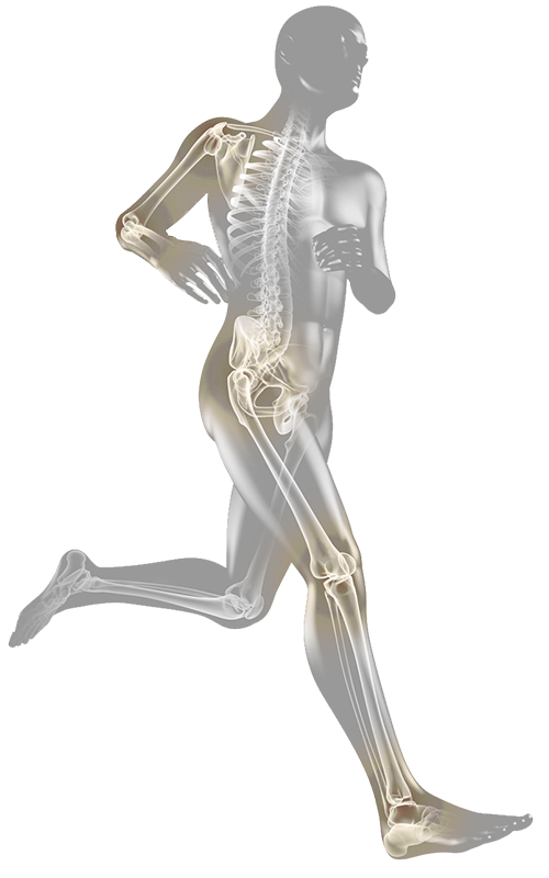 Grafik Dr. Werner Maurer-Ertl